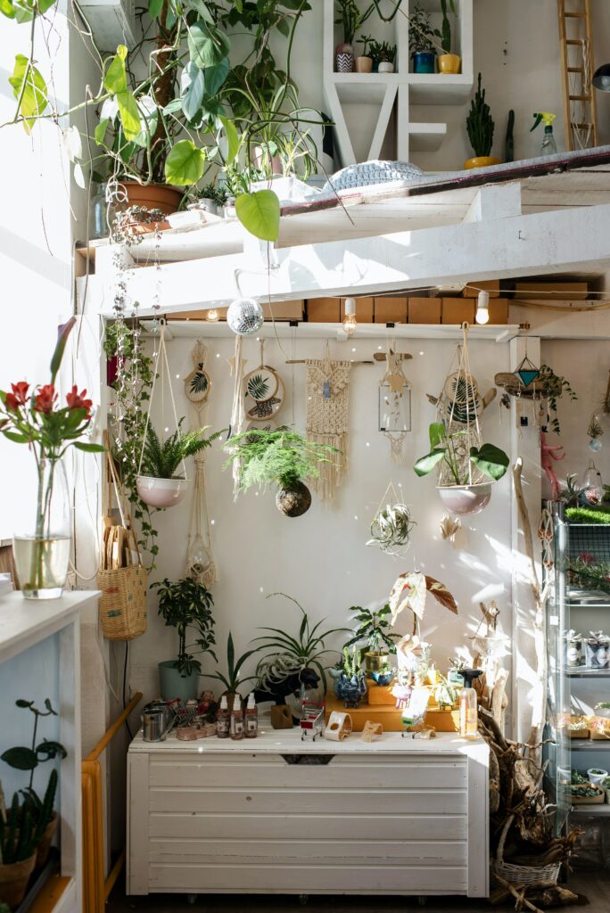 dans un intérieur blanc, de nombreuses plantes sont posées sur un meuble ou suspendues au plafond