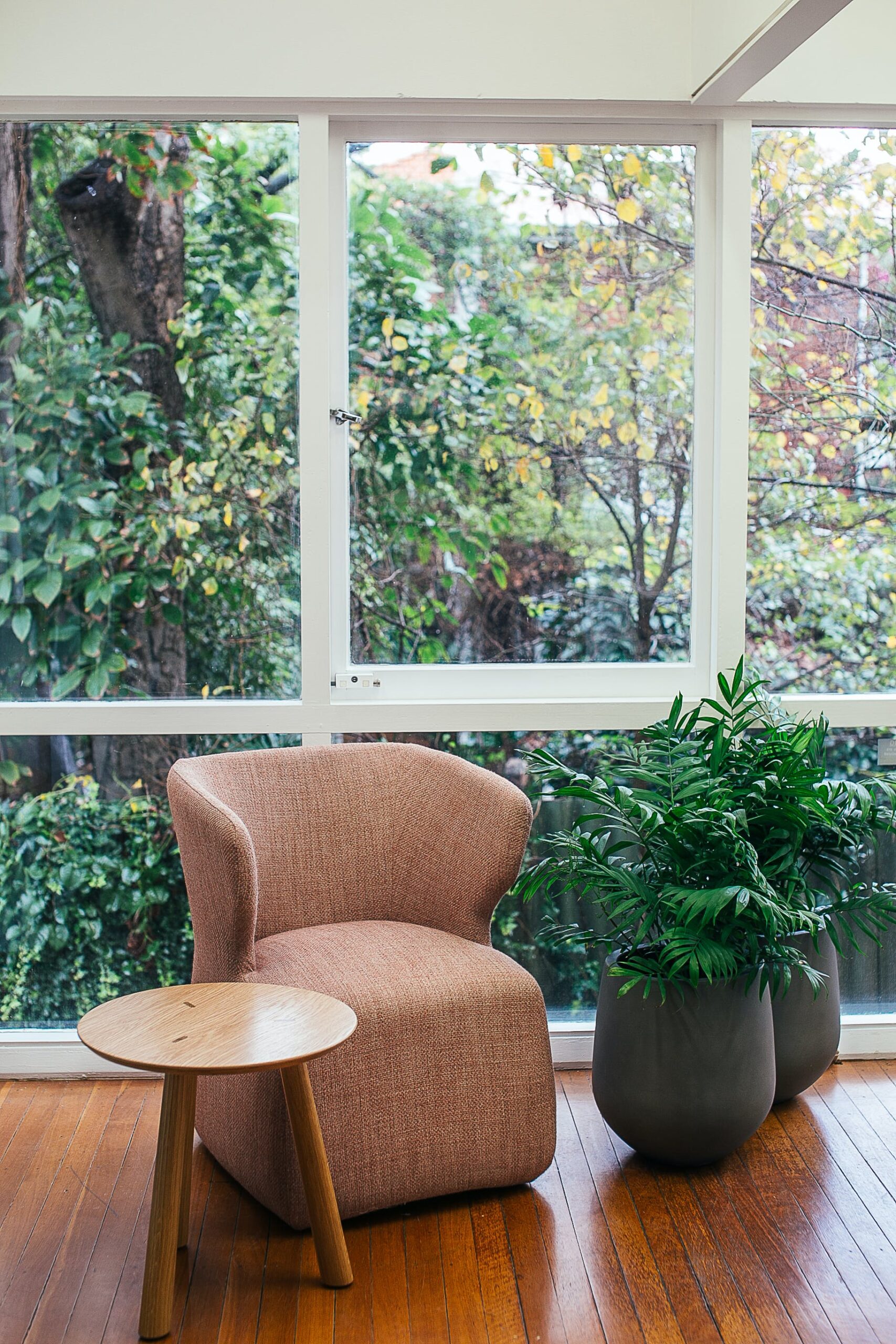 dans une veranda, avec de grandes baies vitrées permettant une vie sur un jardin, une plante tropicale est posée près d'un fauteuil et d'une table basse
