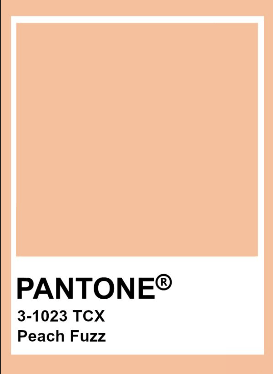 La couleur Pantone de l’année 2024 : Peach Fuzz !