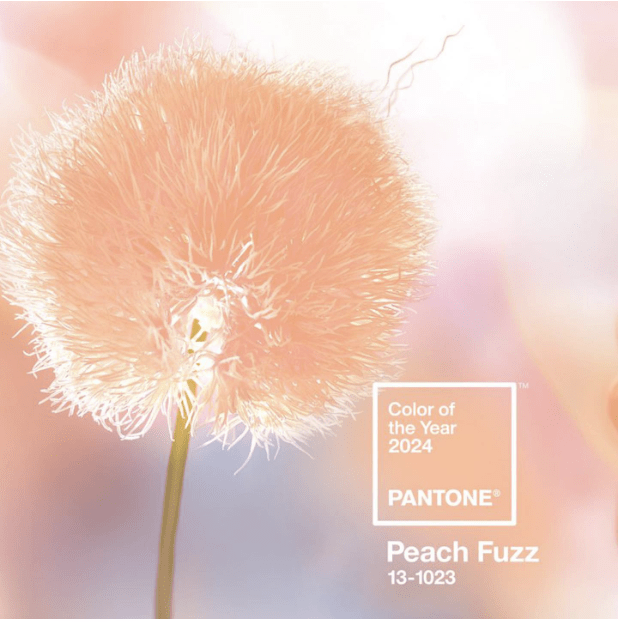 colaurama pantone 2024 peach fuzz