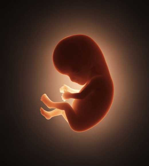 foetus in utero, avec un rai de lumière orangée. couleur pantone 2024 peach fuzz colaurama