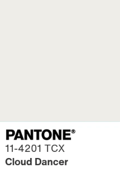 couleur Pantone de l'année 2026 Cloud Dancer