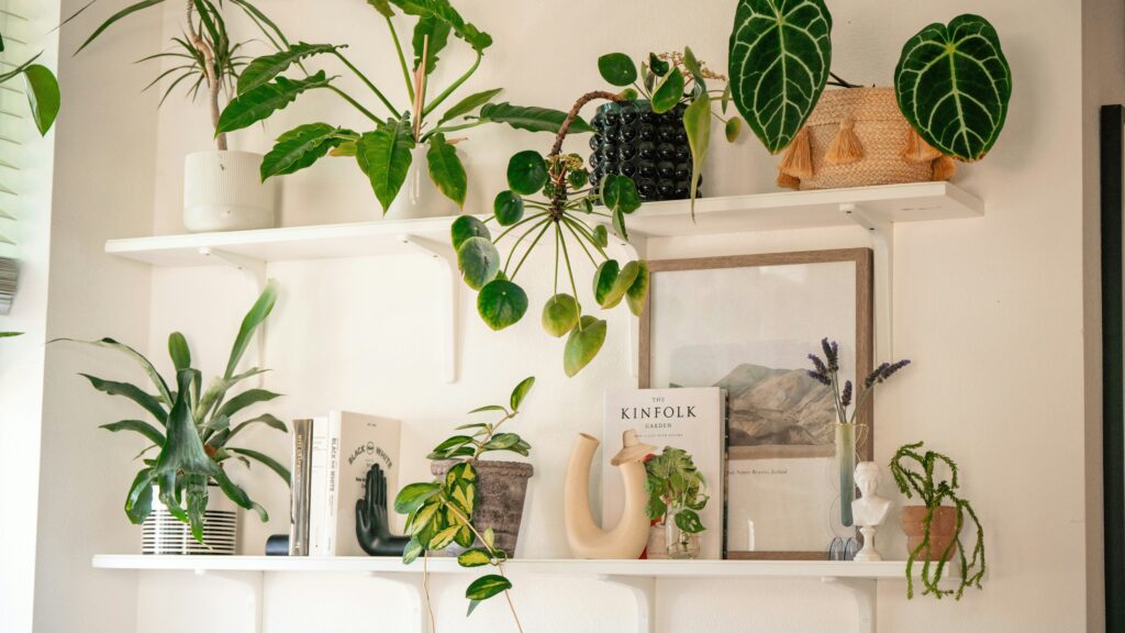 Plantes et décoration naturelle pour réaménager son intérieur après un burn-out, par une décoratrice d'intérieur holistique, basée à Lyon