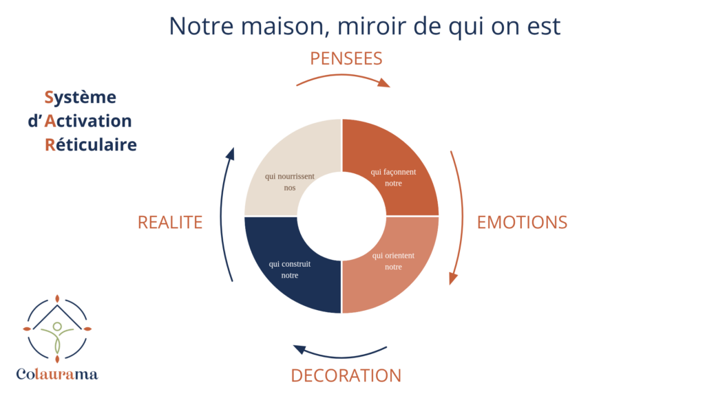 explication du système d'activation réticulaire pour illustrer l'impact de l'art dans nos intérieurs
