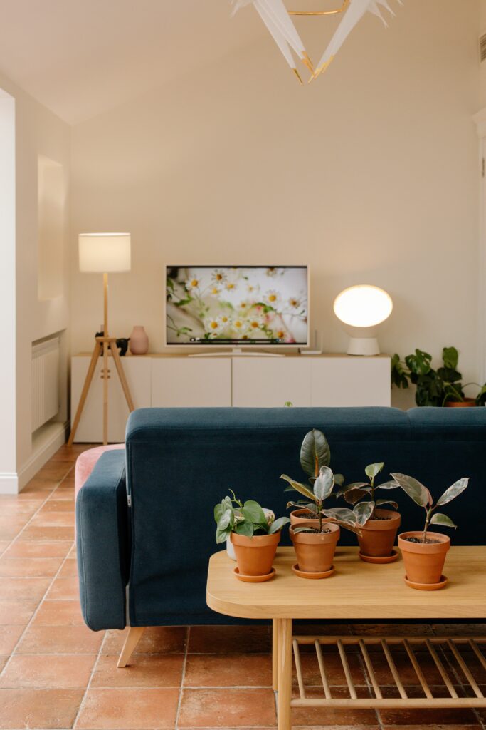 Écran de télévision dissimulé en affiche décorative dans un salon.